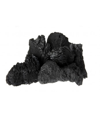 Antracite coal